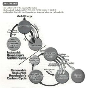 carboncycle_fig-10-1